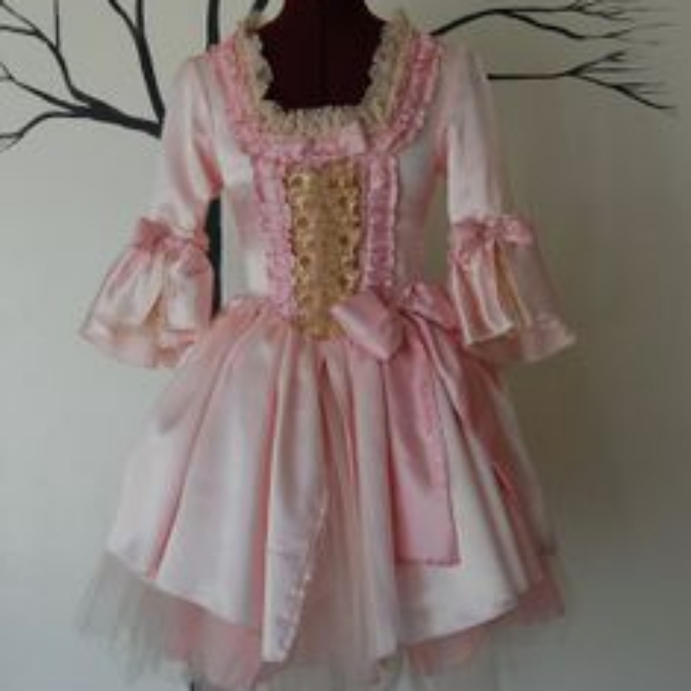 Marie Antoinette Victorian Corset Dress With Tutu (Small)